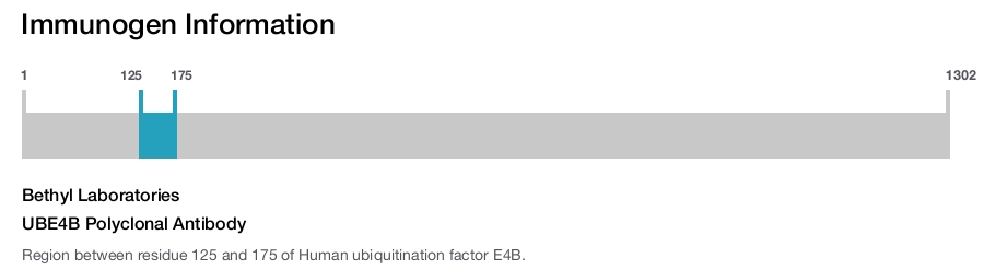 UBE4B Polyclonal Antibody