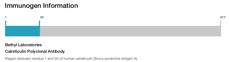 Calreticulin Polyclonal Antibody