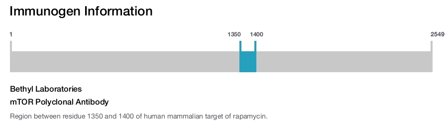 mTOR Polyclonal Antibody
