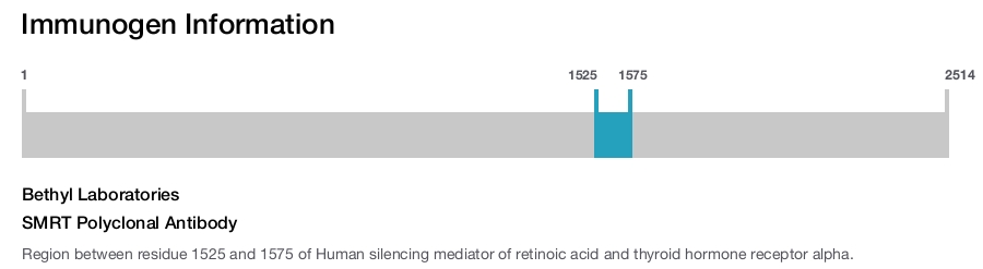 SMRT Polyclonal Antibody