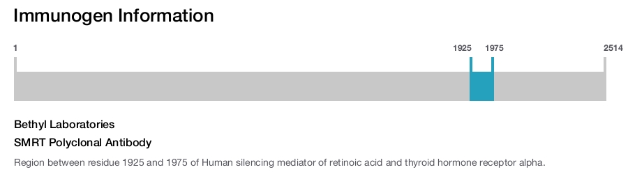 SMRT Polyclonal Antibody