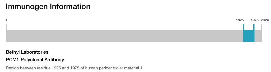 PCM1 Polyclonal Antibody