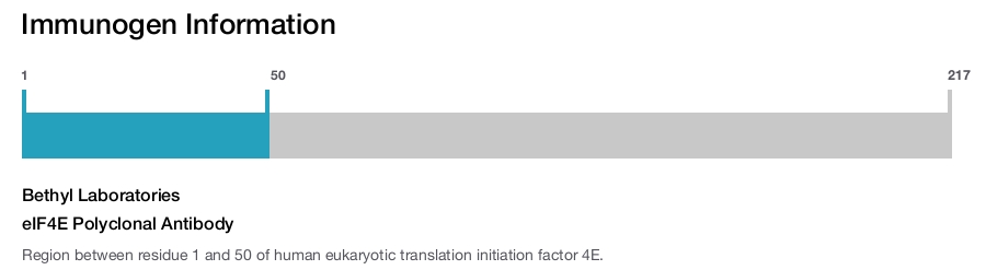 eIF4E Polyclonal Antibody