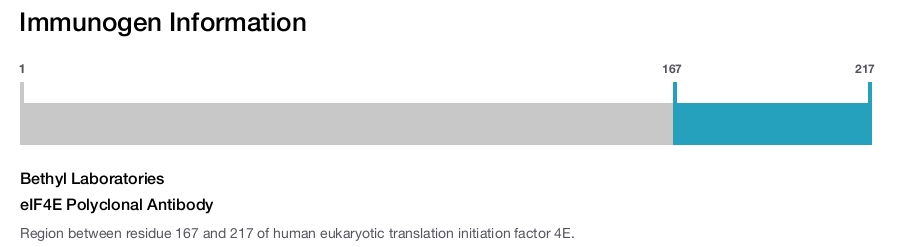 eIF4E Polyclonal Antibody