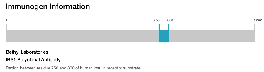 IRS1 Polyclonal Antibody