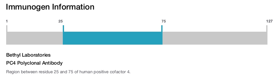 PC4 Polyclonal Antibody