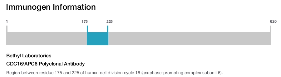 CDC16/APC6 Polyclonal Antibody