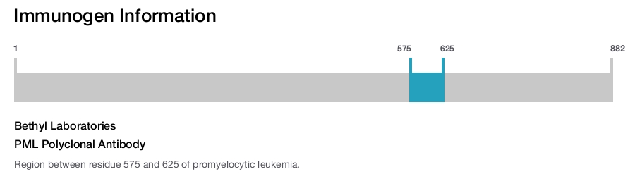 PML Polyclonal Antibody