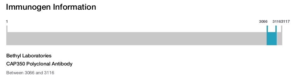 CAP350 Polyclonal Antibody