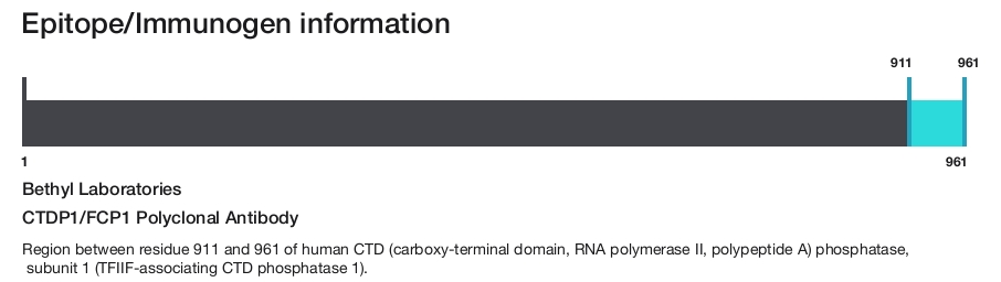 CTDP1/FCP1 Polyclonal Antibody