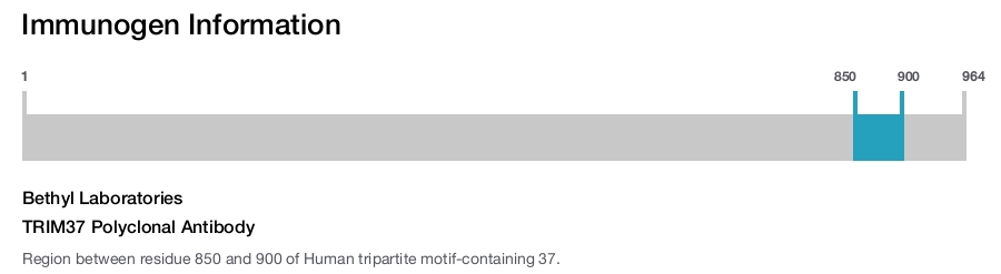 TRIM37 Polyclonal Antibody