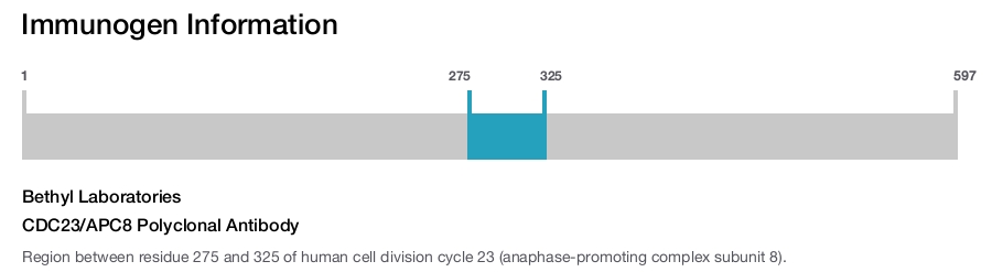 CDC23/APC8 Polyclonal Antibody