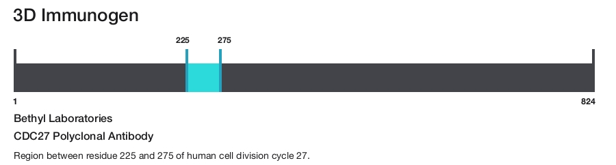 CDC27 Polyclonal Antibody