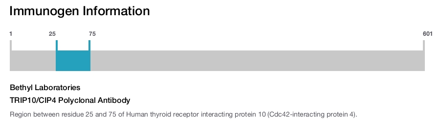 TRIP10/CIP4 Polyclonal Antibody