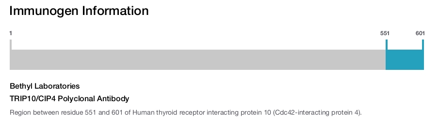 TRIP10/CIP4 Polyclonal Antibody
