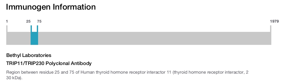 TRIP11/TRIP230 Polyclonal Antibody