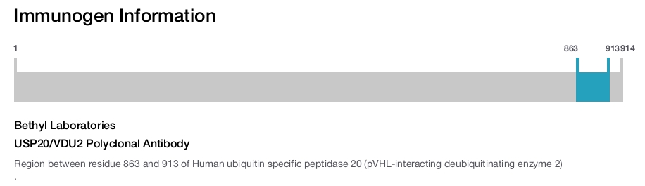 USP20/VDU2 Polyclonal Antibody