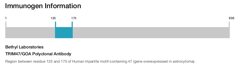 TRIM47/GOA Polyclonal Antibody