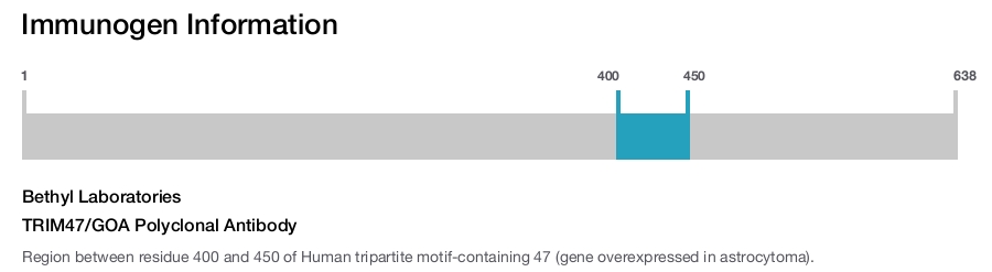 TRIM47/GOA Polyclonal Antibody
