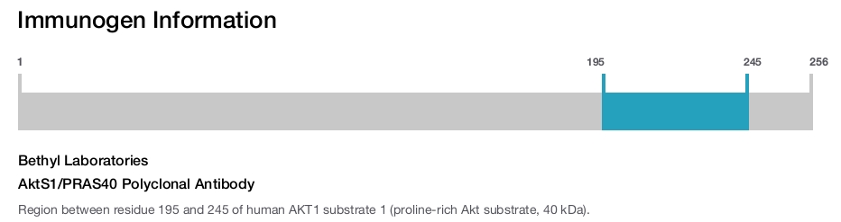 AktS1/PRAS40 Polyclonal Antibody