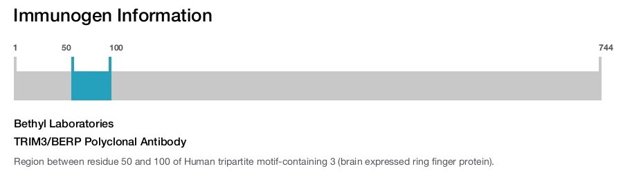 TRIM3/BERP Polyclonal Antibody