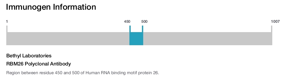 RBM26 Polyclonal Antibody