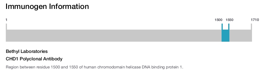 CHD1 Polyclonal Antibody