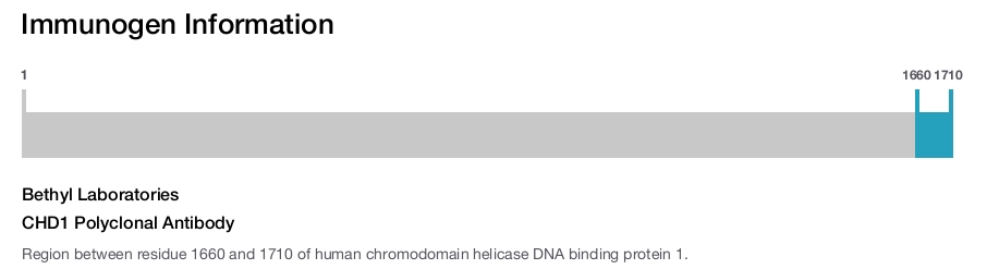 CHD1 Polyclonal Antibody