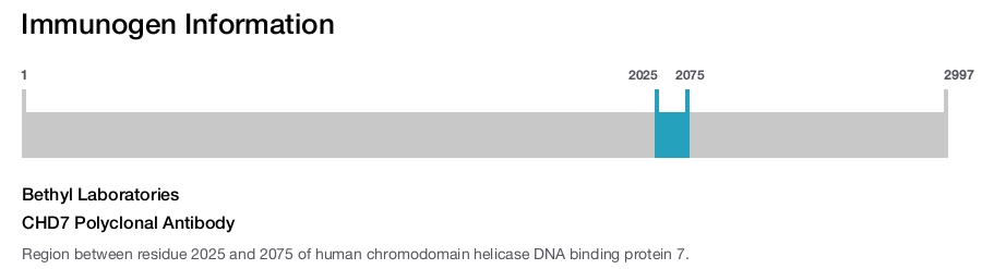 CHD7 Polyclonal Antibody