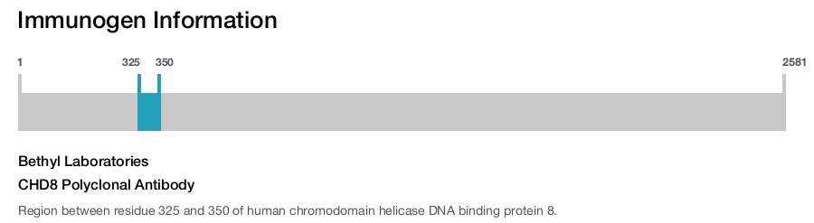 CHD8 Polyclonal Antibody