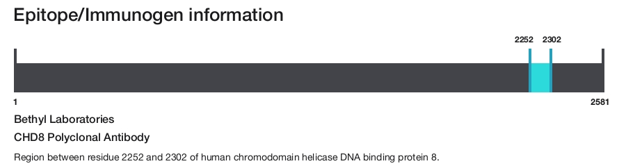 CHD8 Polyclonal Antibody