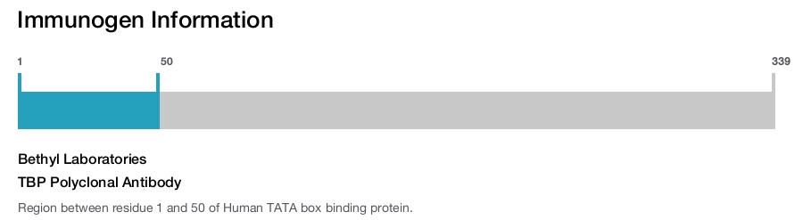 TBP Polyclonal Antibody
