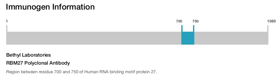 RBM27 Polyclonal Antibody