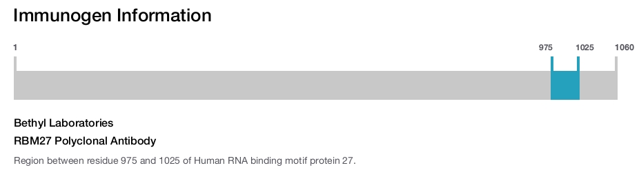 RBM27 Polyclonal Antibody