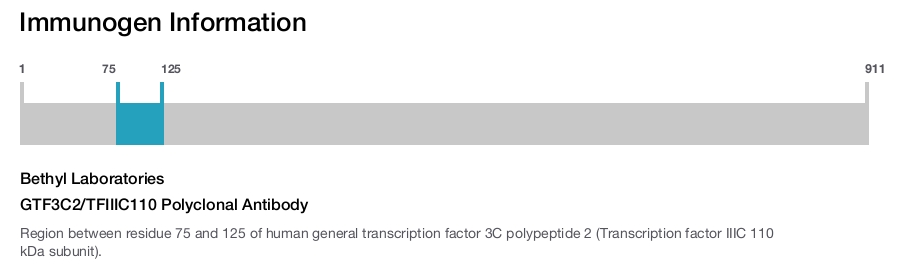 GTF3C2/TFIIIC110 Polyclonal Antibody