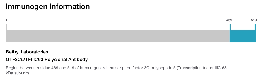 GTF3C5/TFIIIC63 Polyclonal Antibody