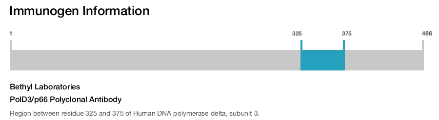PolD3/p66 Polyclonal Antibody