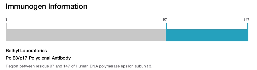 PolE3/p17 Polyclonal Antibody