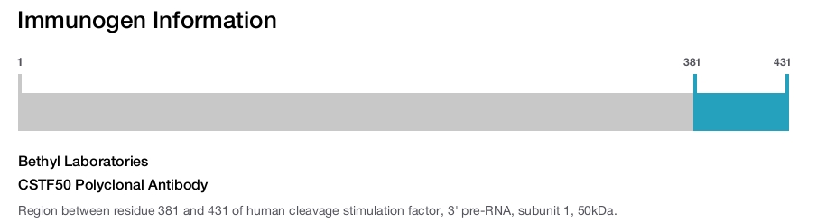 CSTF50 Polyclonal Antibody