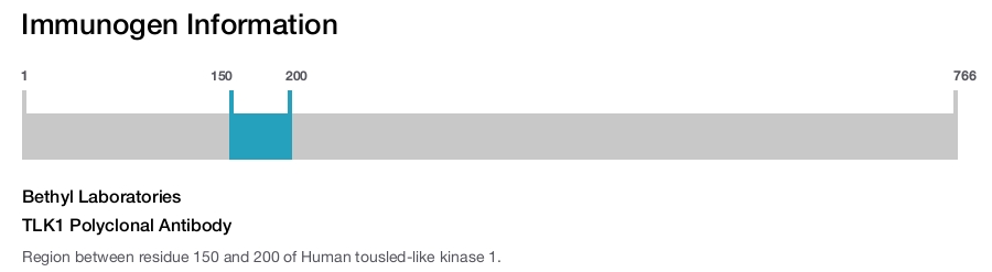 TLK1 Polyclonal Antibody