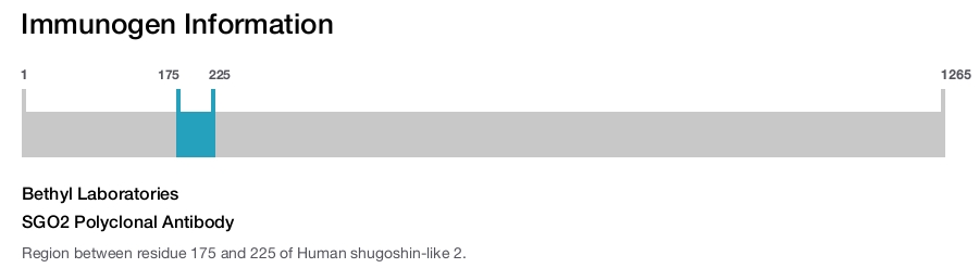 SGO2 Polyclonal Antibody