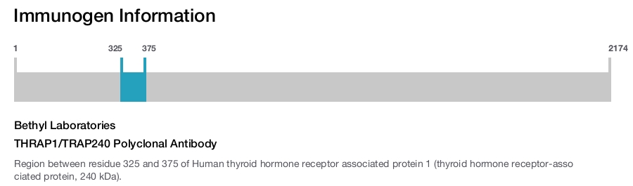 THRAP1/TRAP240 Polyclonal Antibody