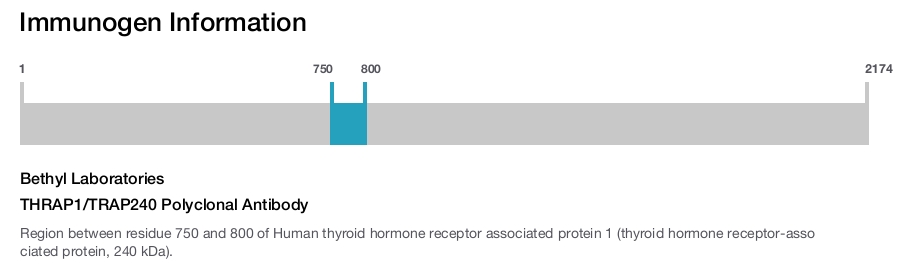 THRAP1/TRAP240 Polyclonal Antibody