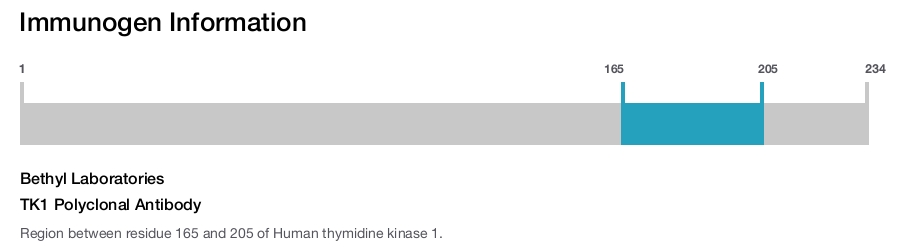 TK1 Polyclonal Antibody
