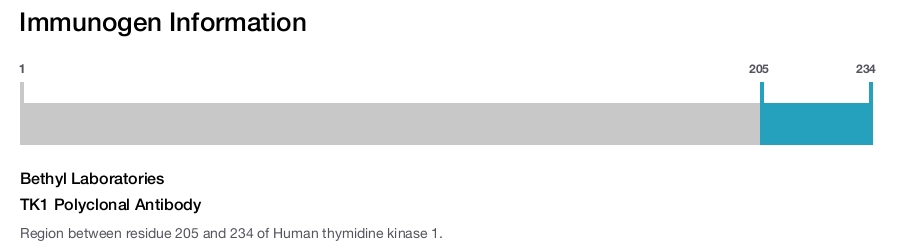 TK1 Polyclonal Antibody