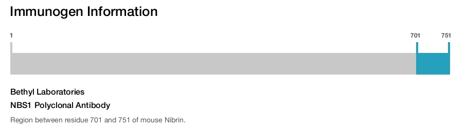 NBS1 Polyclonal Antibody