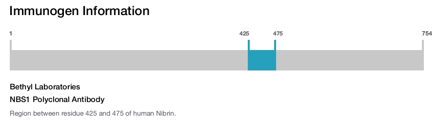 NBS1 Polyclonal Antibody