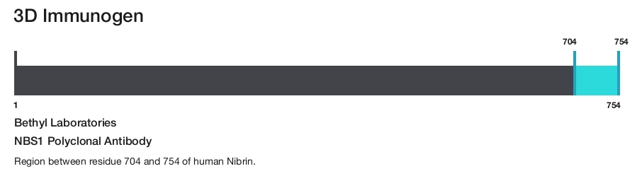NBS1 Polyclonal Antibody