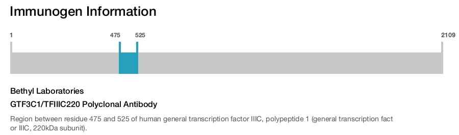 GTF3C1/TFIIIC220 Polyclonal Antibody