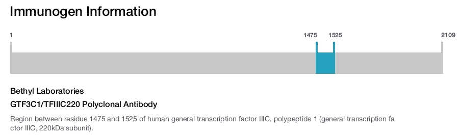 GTF3C1/TFIIIC220 Polyclonal Antibody